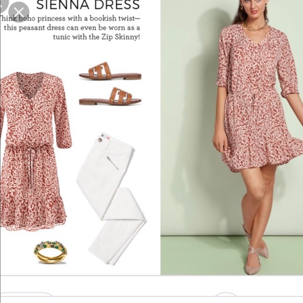 Cabi Sienna dress